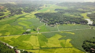 ​[湖南 株洲市渌口区龙门镇]