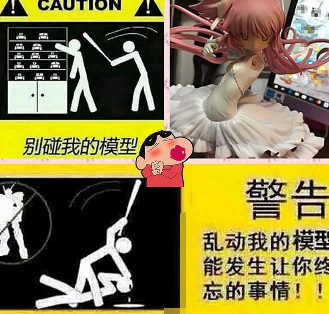 日本小哥手办被熊孩子“肢解”，要求上万赔偿回绝，啥玩意这么贵