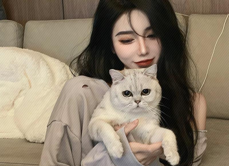 女朋友怀孕了怎么和她父母说？说结婚的事情可以么