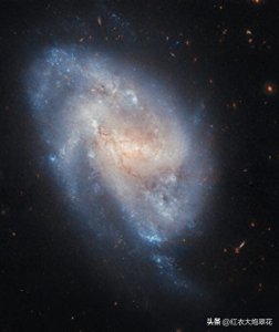 ​哈勃太空望远镜拍摄的位于 “鲸鱼座” 的棒旋星系 “NGC 337”。