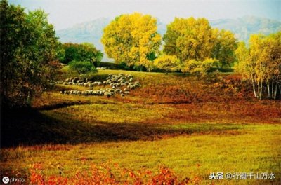 ​秋日落叶美图欣赏