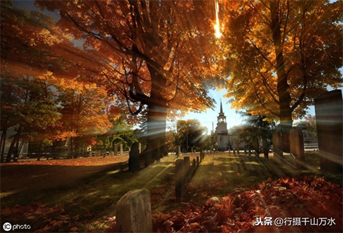 秋日落叶美图欣赏