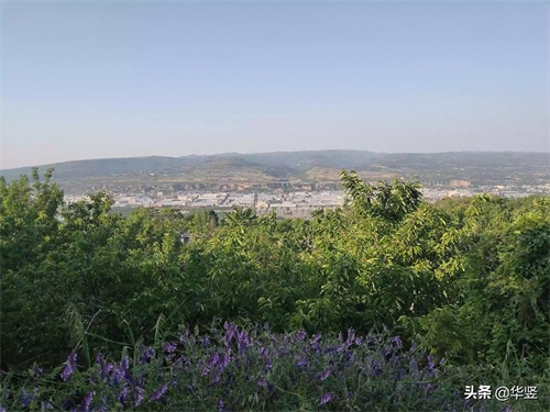 早春第一果，白鹿原樱桃，原生态无污染只待君来品。