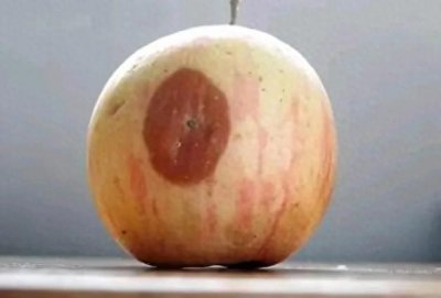 ​上坟不带这5果，看看究竟是哪五种水果？