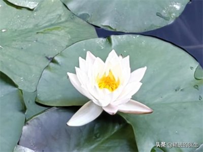 ​如何委婉地拒绝别人？