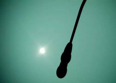 ​小事记 | 许家印、马云任万科董事长？ 万科辟谣：假的