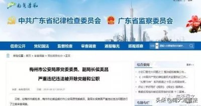 ​某公安局原副局长被“双开” 曾要官买官、充当黑恶势力“保护伞