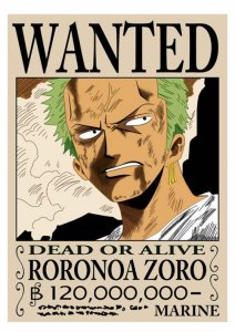 ​海贼王——罗罗诺亚·索隆