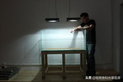 ​简单易学、好养易维护的青龙石水草造景过程