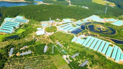 ​留在农村发展养殖业，这几种项目年收入可达十几万？值得一试！