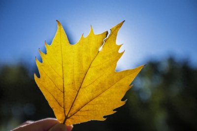 ​这些女人不自信的表现，你中了几个