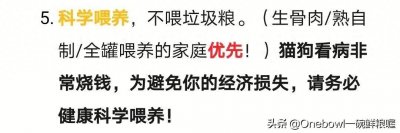 ​自制猫饭入门，一份食谱与一些知识