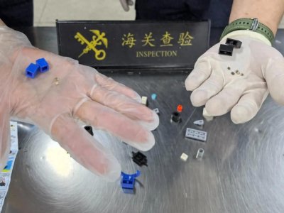 ​7粒大麻种子藏于玩具中，被汕头海关查获