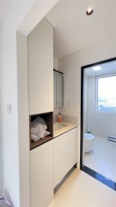 机智如我，解决马桶与门冲突！