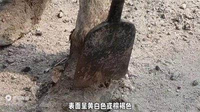 ​公乌头驴的-驴-鞭-有多厉害？你知道吗？