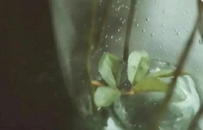 ​别小瞧他们！三种看似“傻”实则聪明绝顶的人，你身边有吗？