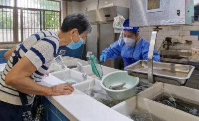 ​今夏性价比最高的虾来了！基围虾大量上市、价入谷底，菜场零售25至30元一斤