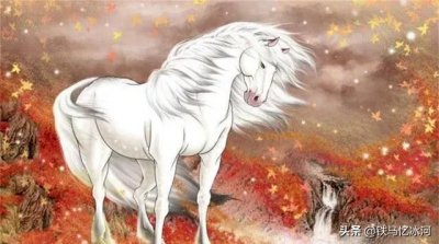 ​段景住，我偷匹宝马上梁山。晁盖，你是曾头市派来的奸细吗？