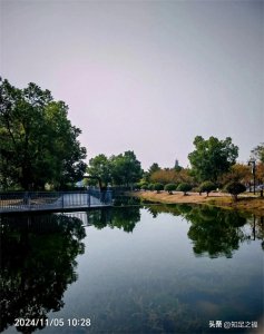 ​中国的哪个城市被称为“东方之珠”？