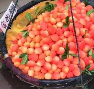 ​金西梅不是西梅，那究竟是什么？遇见这种高颜值水果千万别买