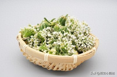​腌韭菜花，只放盐腌就错了，教你一招，颜色翠绿鲜香不变味不长毛