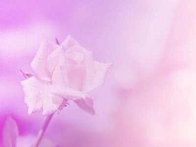 ​与异性频繁聊天：如何把握分寸，避免麻烦