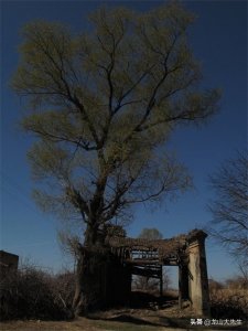 ​山西省怀仁市，“金沙滩古战场”，五、六十年代是什么样子的