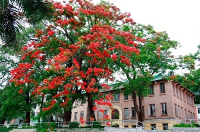 【江门侨影】台山市第一中学