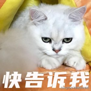 ​绝美中国风 | 安利一波中式新娘造型，精致又高级