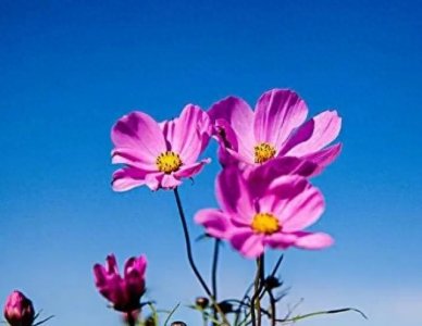 ​有哪些适合送女生的礼物？