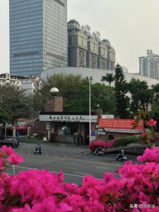 ​红花丛中的南宁三中