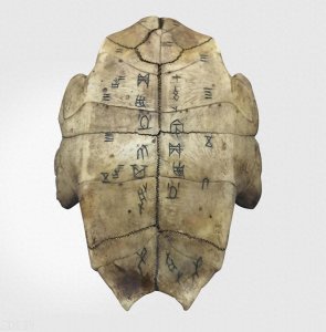 ​从龟甲到蓍草再到铜钱 占卜工具的有趣变迁