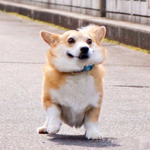 ​推文|《前男友都觉得自己是真爱》系统主攻 多情渣攻虐攻身虐受心