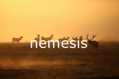 ​每日单词：nemesis