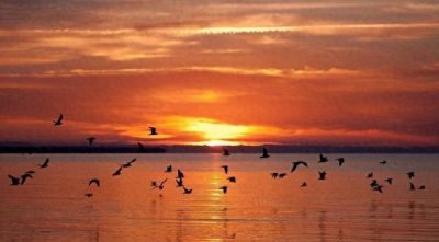 ​李元婴：李渊最小的儿子，《滕王阁序》里的滕王，一生过得如何？