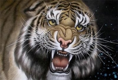 ​梁山上有十一个以虎为绰号的好汉，却无虎的勇猛，十人惨死