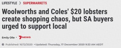 ​澳洲龙虾价格暴跌！或为6年来最低！便宜到吃不完！大家快买