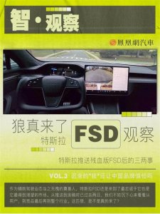 ​迟来的“狼”还让中国品牌惧怕吗？特斯拉推送残血FSD后的三两事