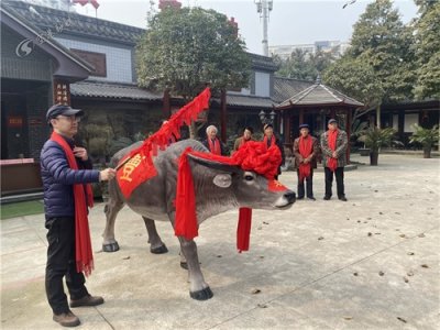 ​立春啦！来看“打春牛”