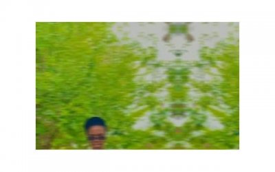 ​社会型人的典型代表