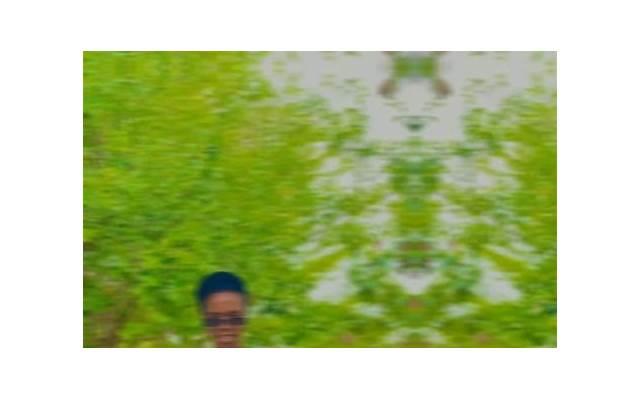 社会型人的典型代表