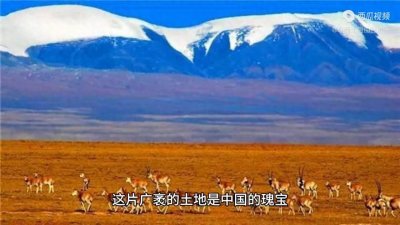 ​可可西里：一片神秘而原始的生态旅游胜地