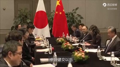 ​世界仅存一棵万年“宝树”，就在我国山东，日本想花一亿买走