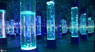 ​灯塔水母真的永生吗？一起来了解一下吧