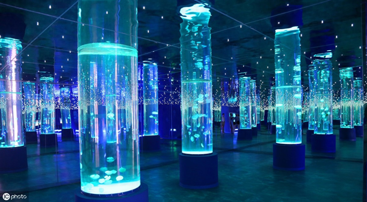 灯塔水母真的永生吗？一起来了解一下吧