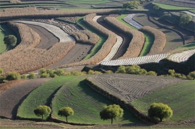 ​乡村记忆（5）-----背篓