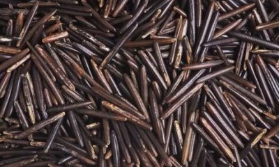 ​野米，称之为＂米＂中之王，营养价值很高，你吃过吗？