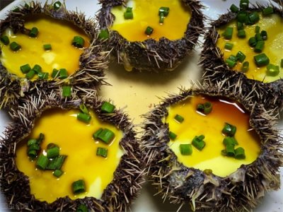 ​吃“海胆黄”时，我们吃的到底是啥东西？新鲜海胆应该怎么挑？