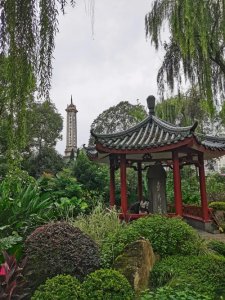 ​成都人民公园