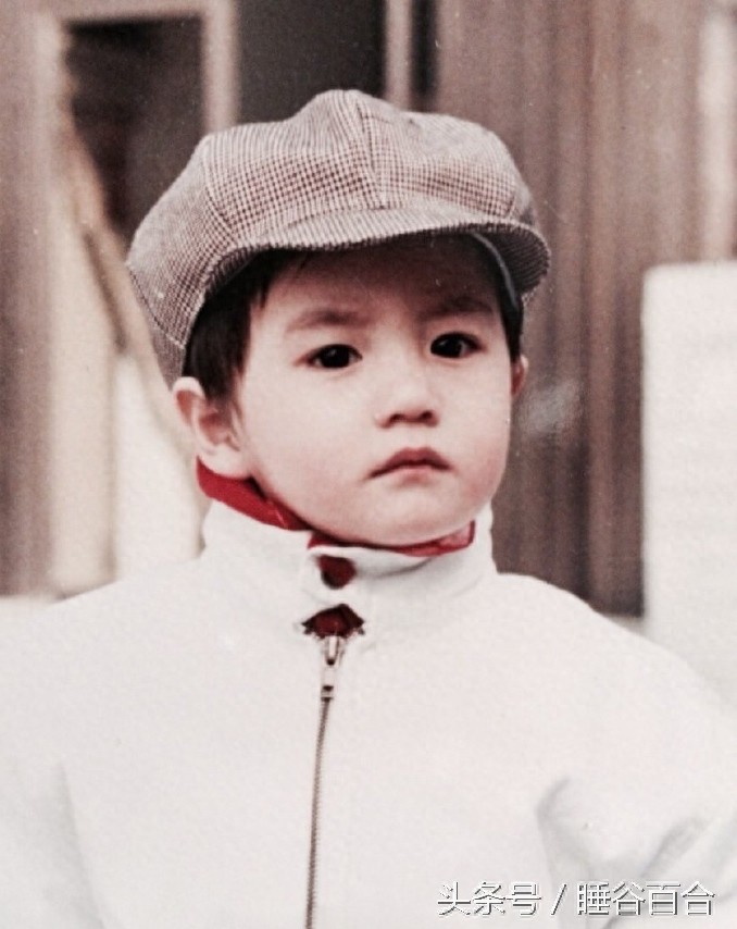 59岁老戏骨杨立新的29岁儿子是当红小生杨玏